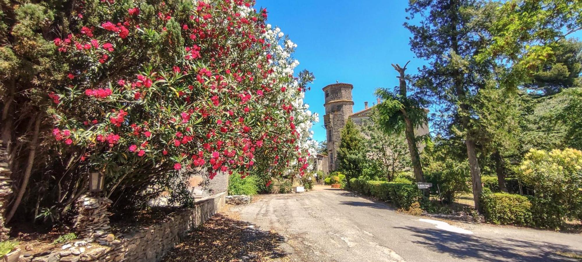 Chateau Saint-Martin Καρκασόν Εξωτερικό φωτογραφία