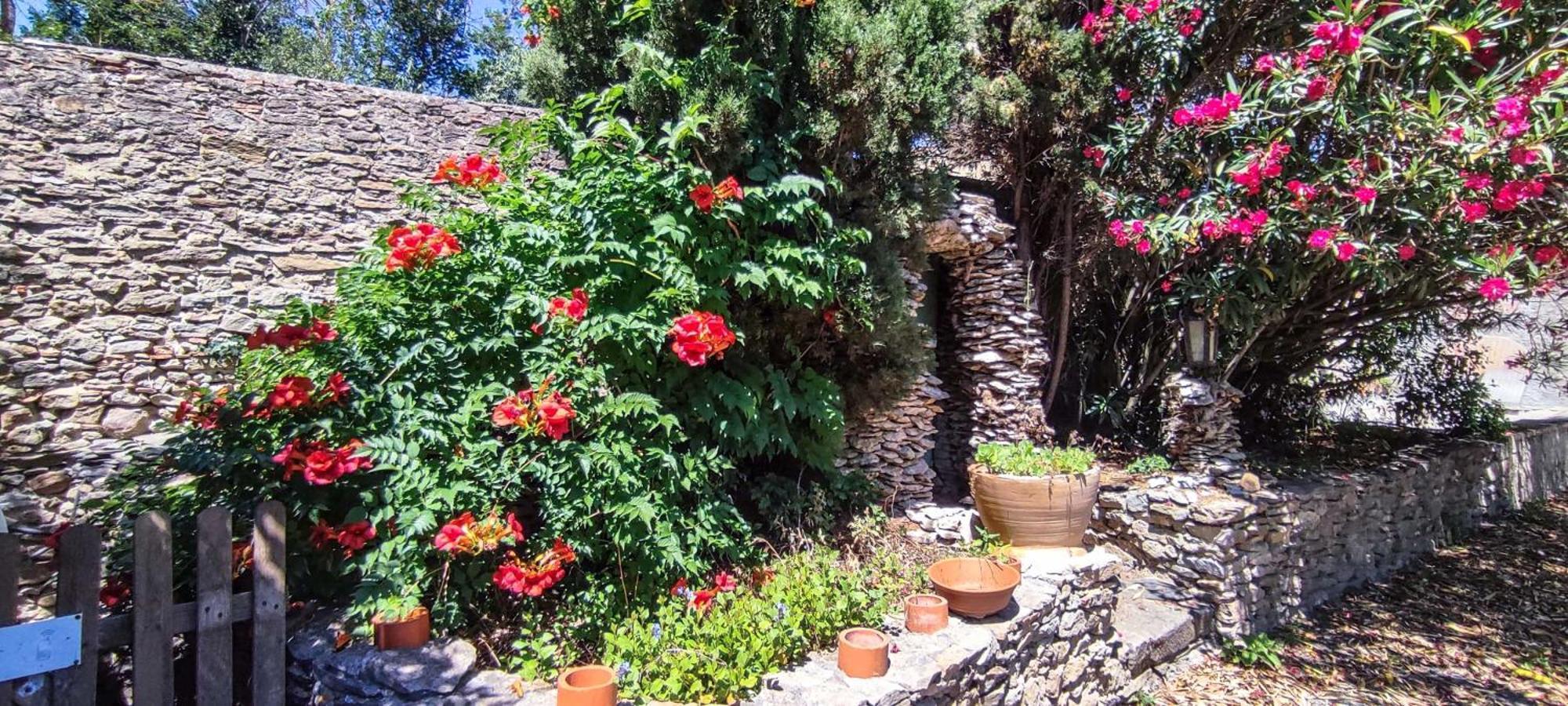 Chateau Saint-Martin Καρκασόν Εξωτερικό φωτογραφία
